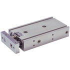 SMC CXSM15100 (CXSM15-100) Dual Rod Cylinder